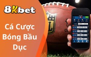 Cá cược bóng bầu dục