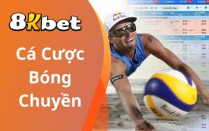 Cá cược bóng chuyền