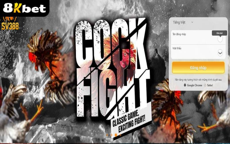 Các bước tham gia đá gà tại SV388