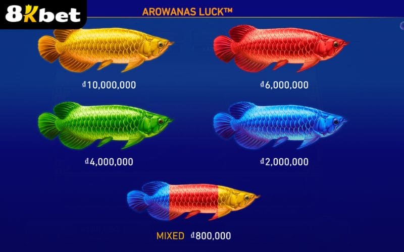 Các combo trúng thưởng trong nổ hũ Kim Long