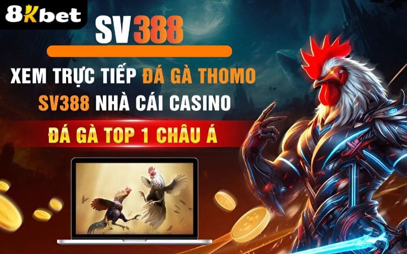Giới thiệu SV388 sảnh cược được yêu thích nhất tại Đá Gà 8KBET