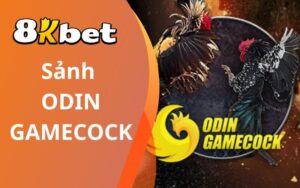 Odin Gamecook
