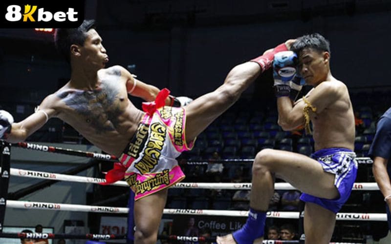 Giới thiệu về cá cược võ tổng hợp tại Thể Thao 8KBET Giới thiệu về cá cược võ tổng hợp tại Thể Thao 8KBET