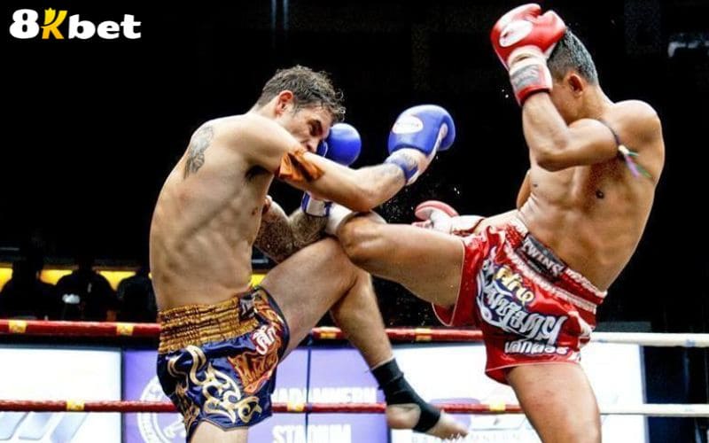 Luật chơi cá cược võ tổng hợp tại Thể Thao 8KBET Luật chơi cá cược võ tổng hợp tại Thể Thao 8KBET